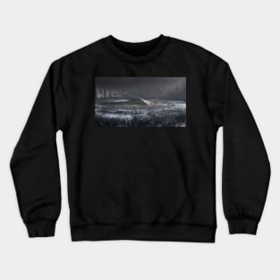 Winter in Central Park Crewneck Sweatshirt